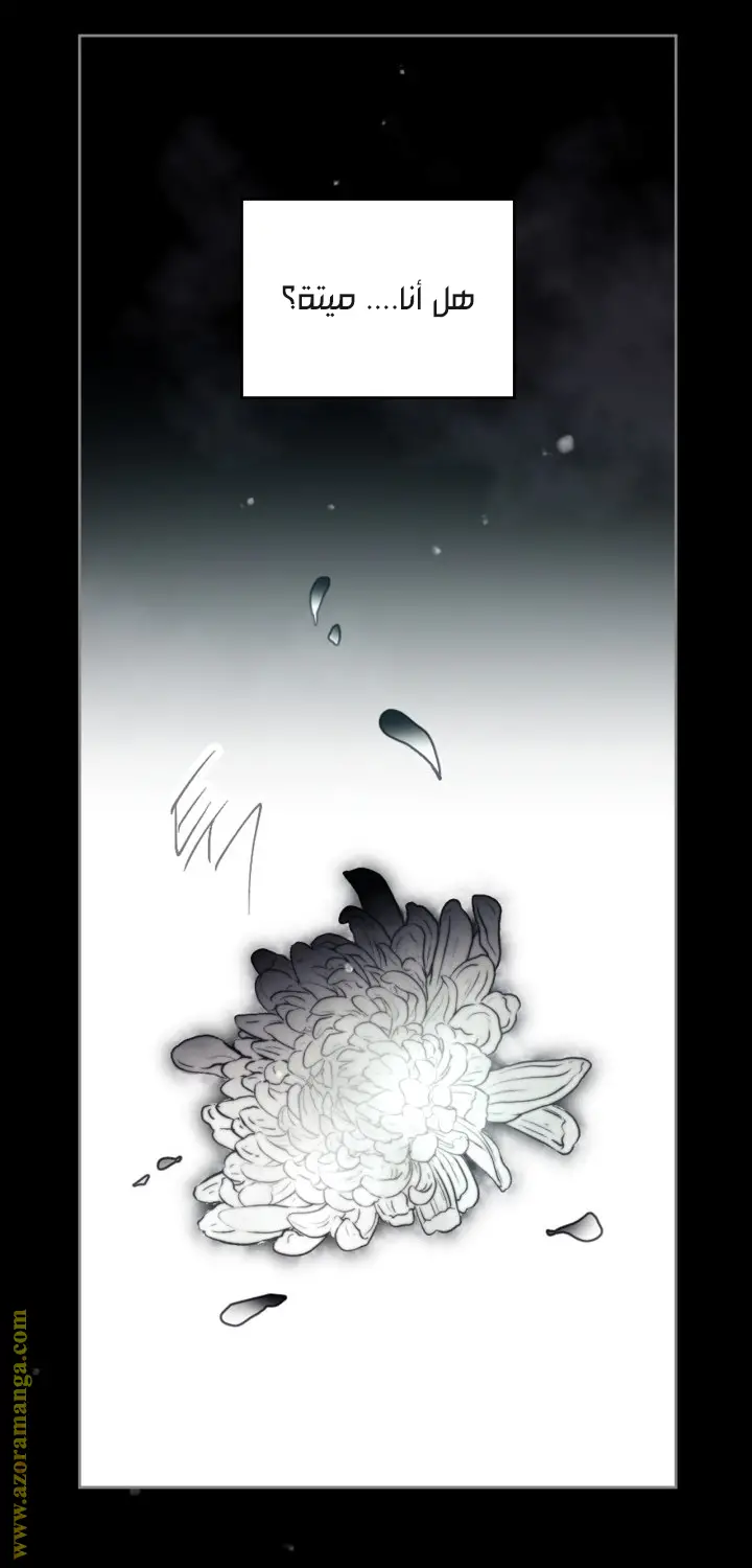 الصفحة 34