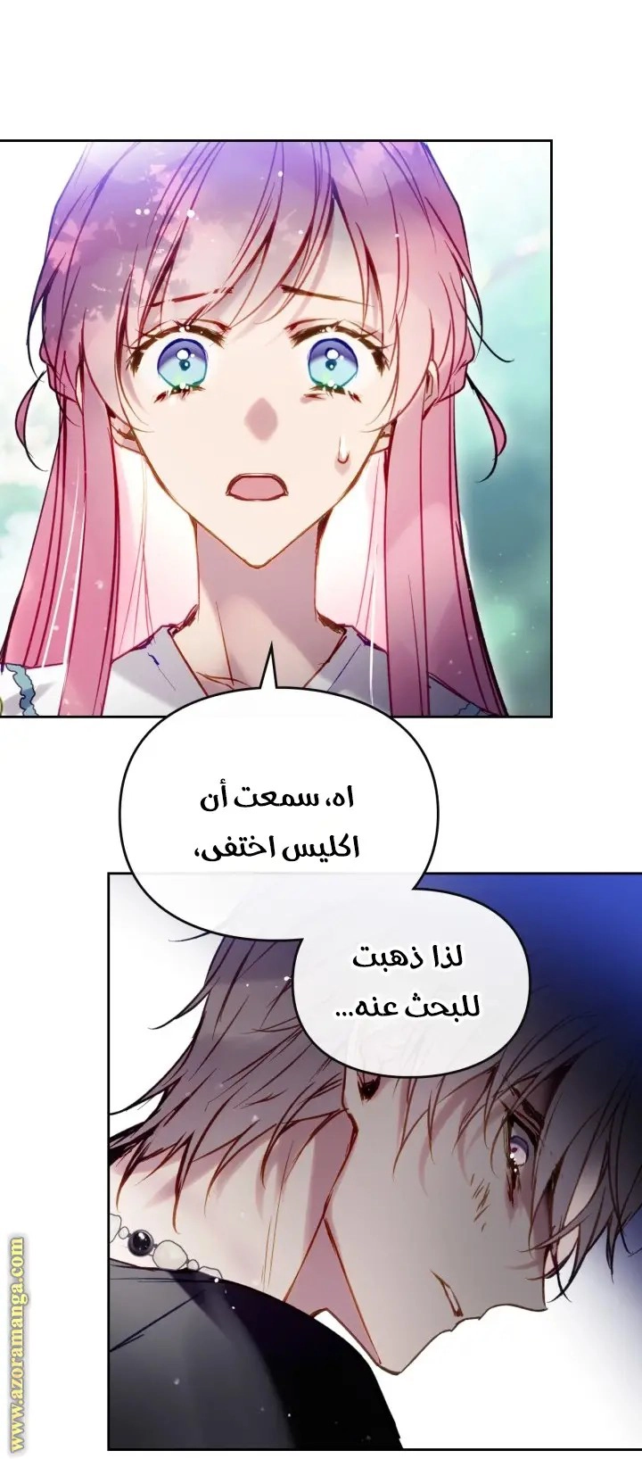 الصفحة 21