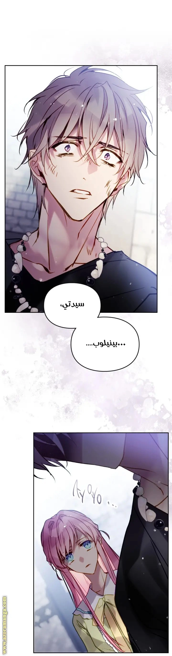 الصفحة 25