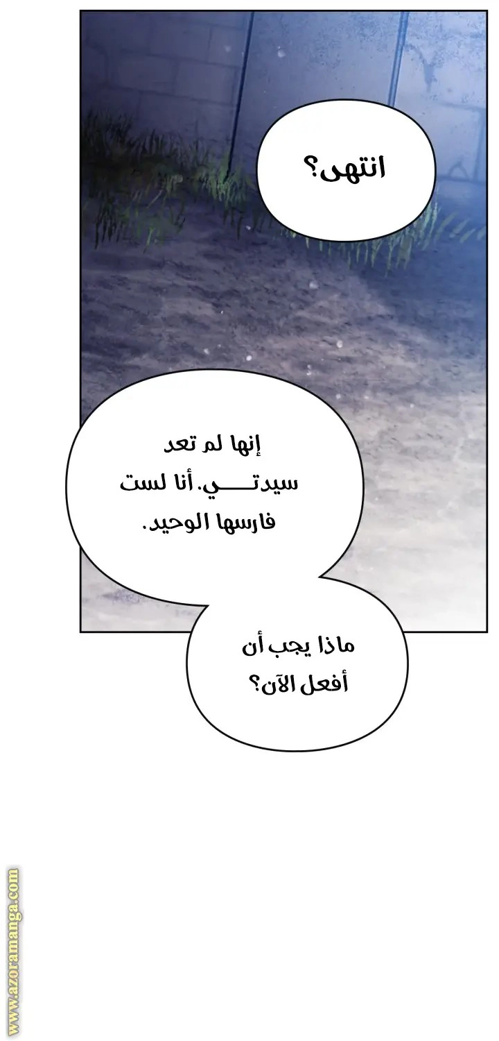الصفحة 29