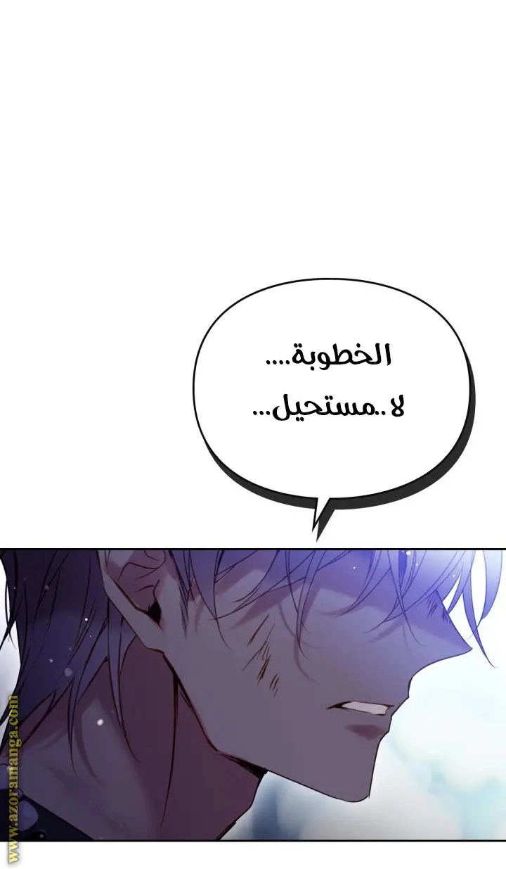 الصفحة 33