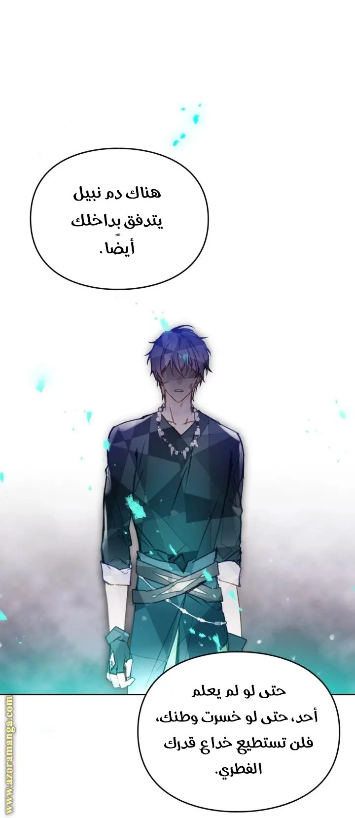 الصفحة 43
