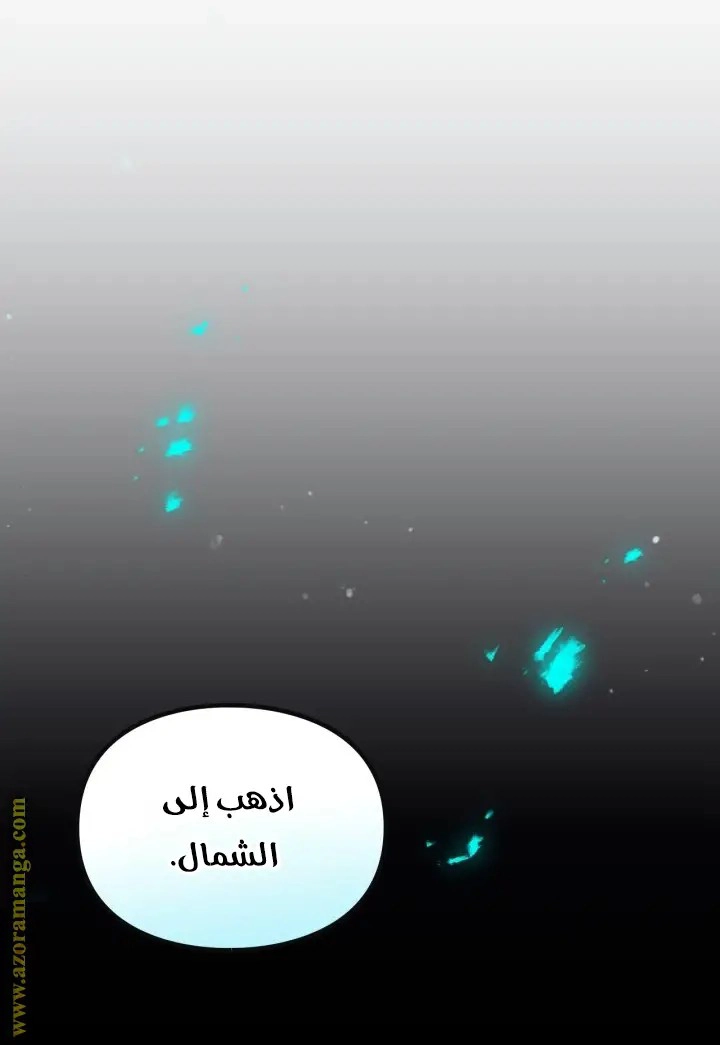 الصفحة 47
