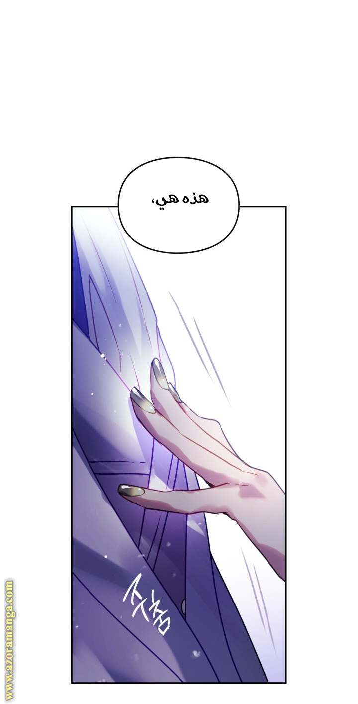 الصفحة 27