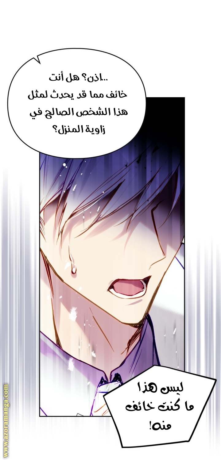 الصفحة 42