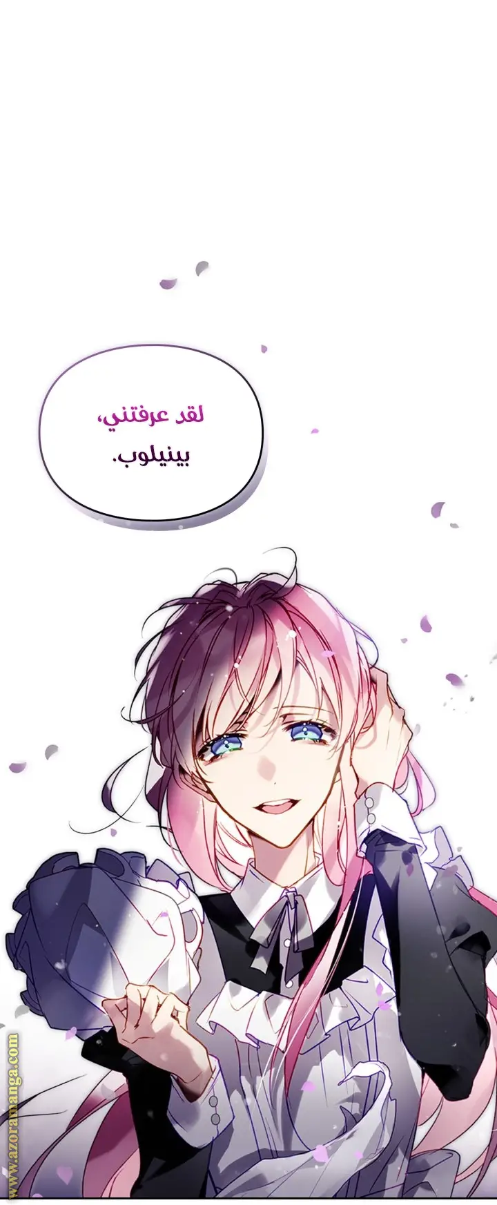 الصفحة 22