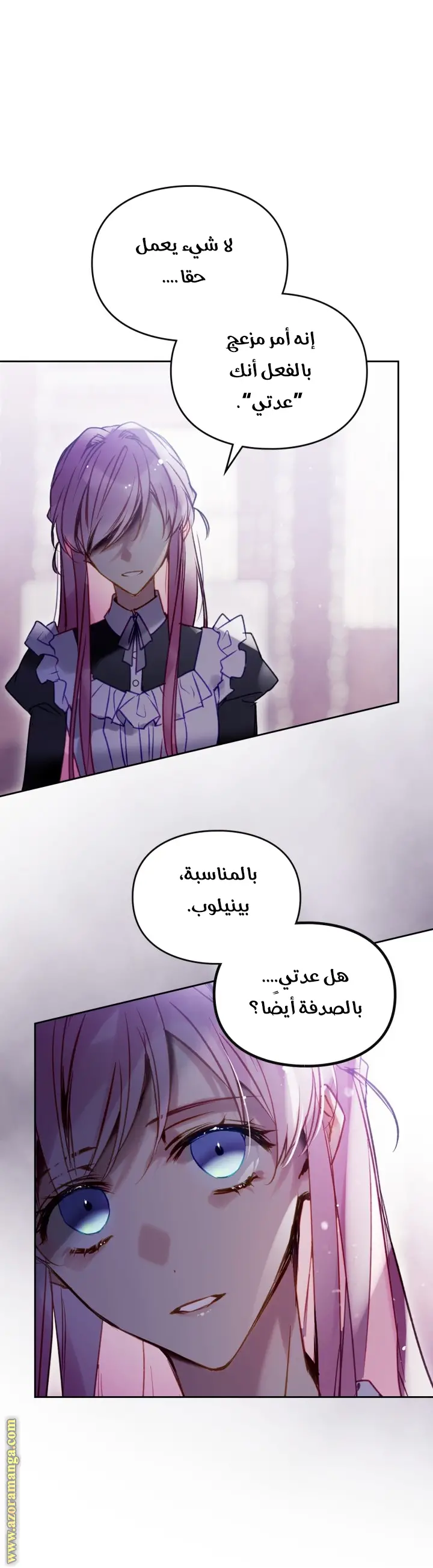 الصفحة 25