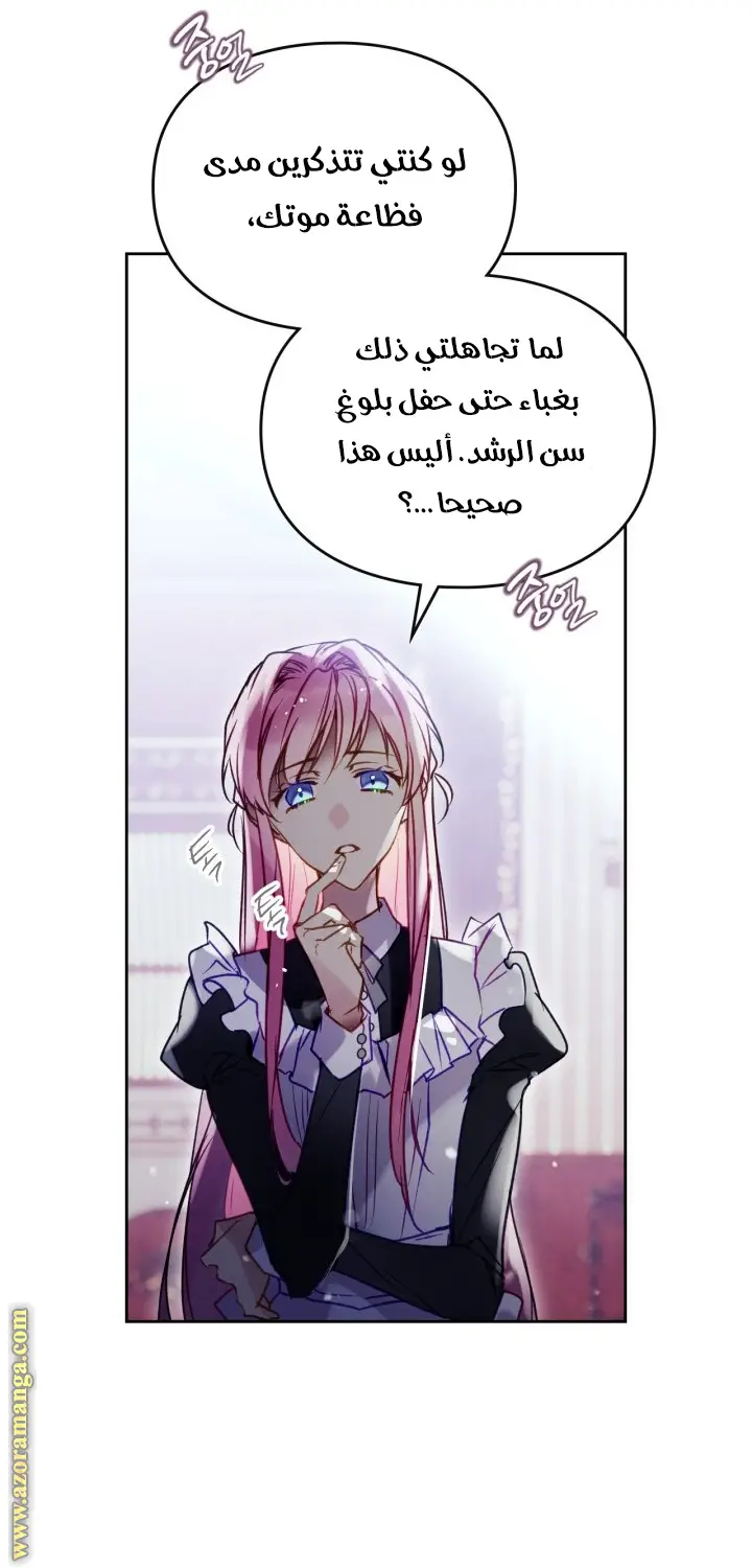 الصفحة 27
