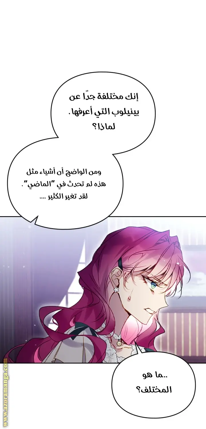 الصفحة 29
