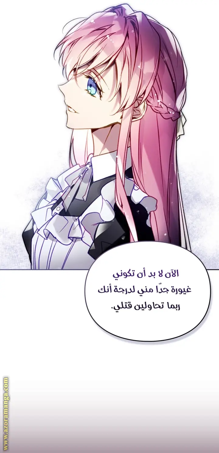 الصفحة 31