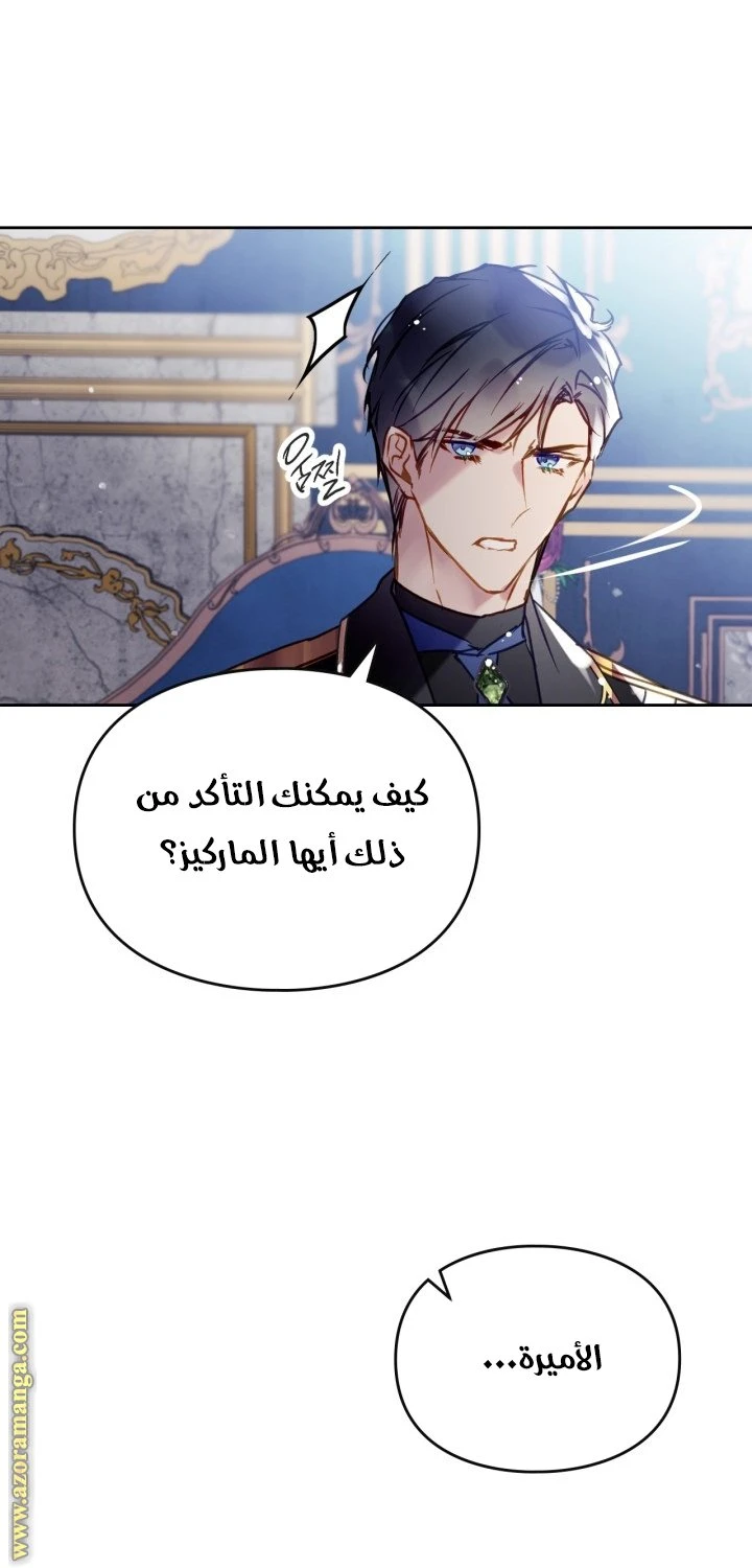 الصفحة 24