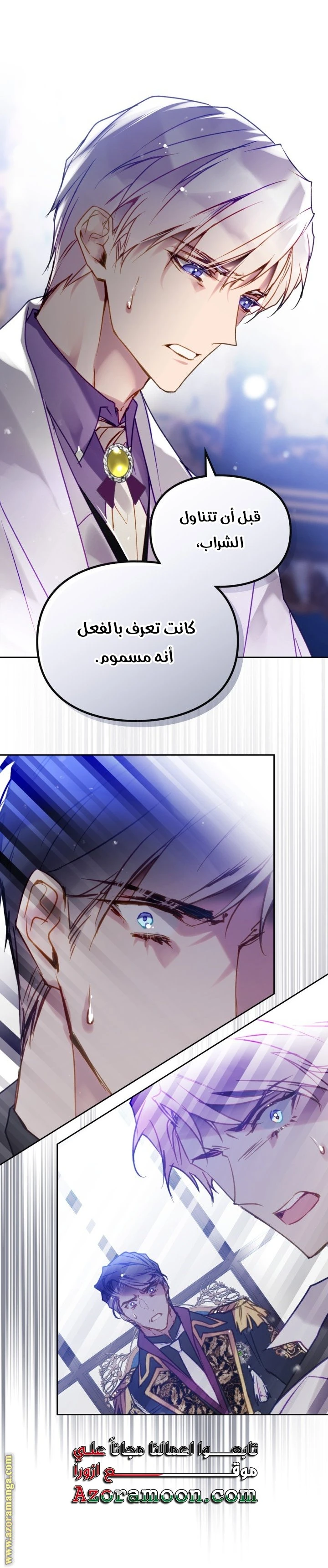الصفحة 25