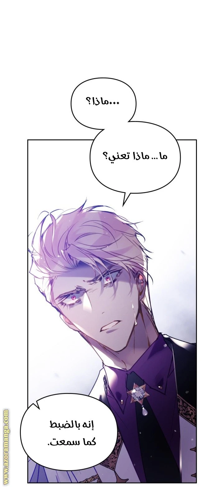 الصفحة 26