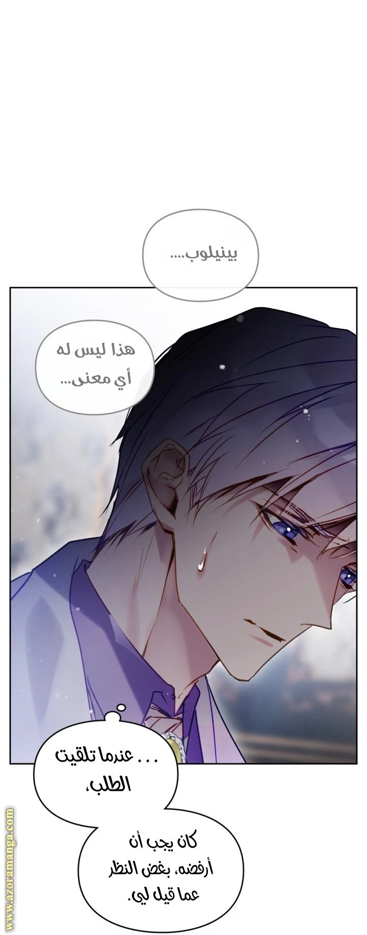 الصفحة 29
