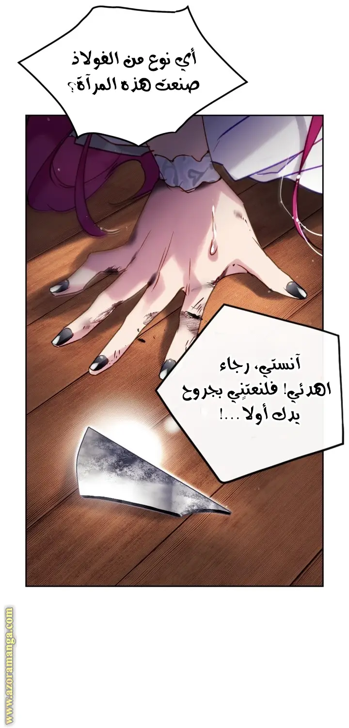 الصفحة 27