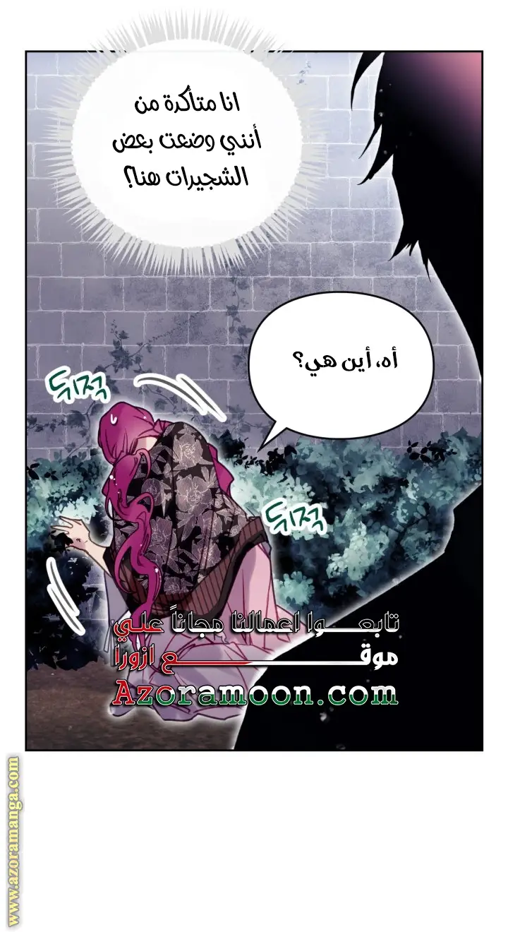 الصفحة 41