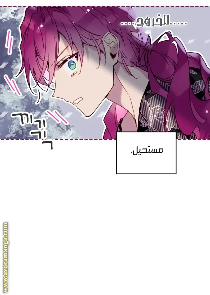 الصفحة 43