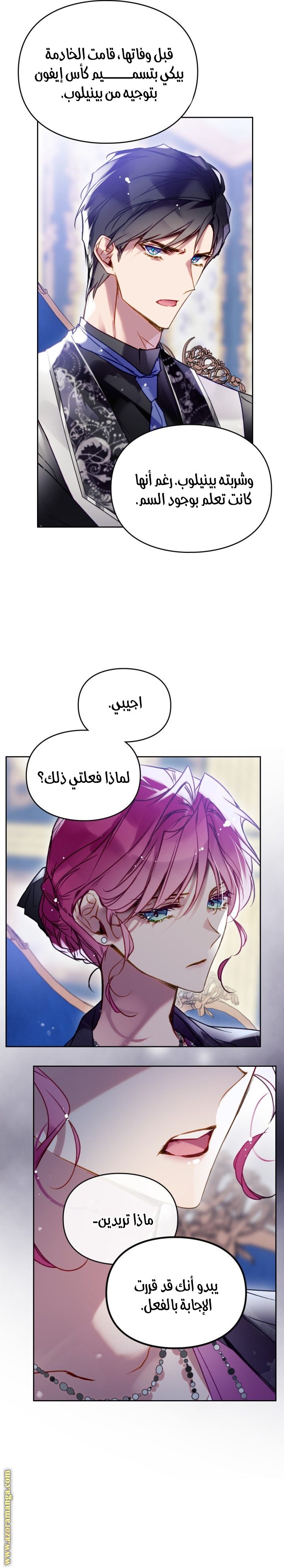 الصفحة 17