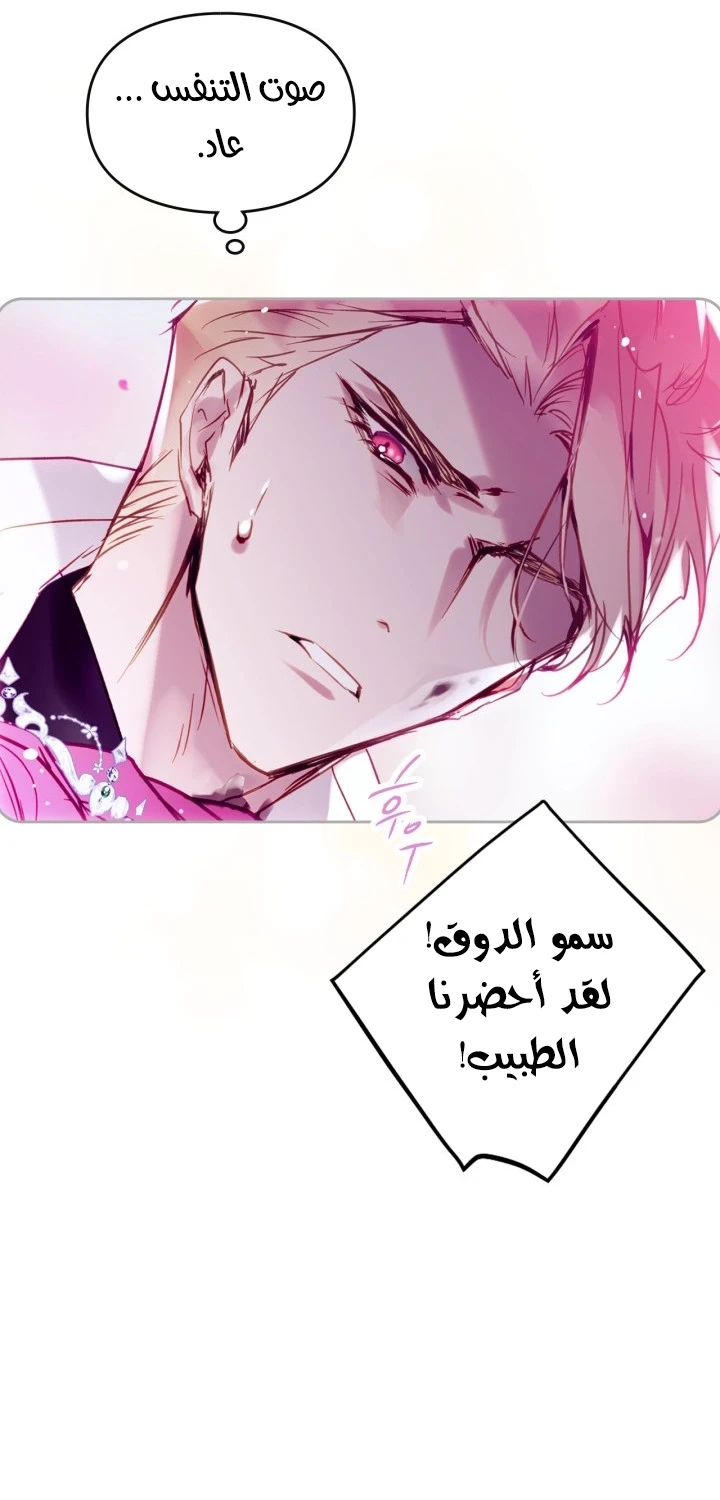 الصفحة 27