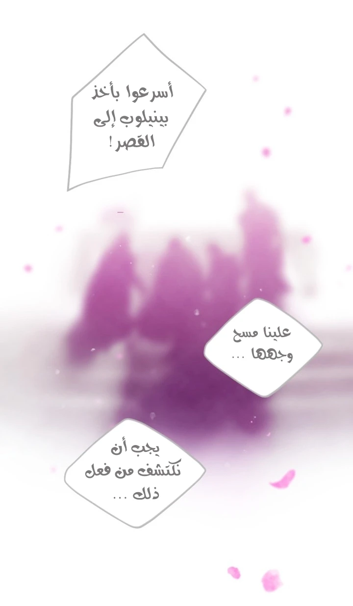 الصفحة 28