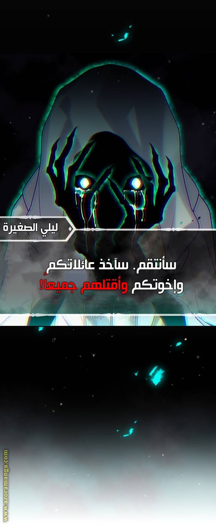 الصفحة 17