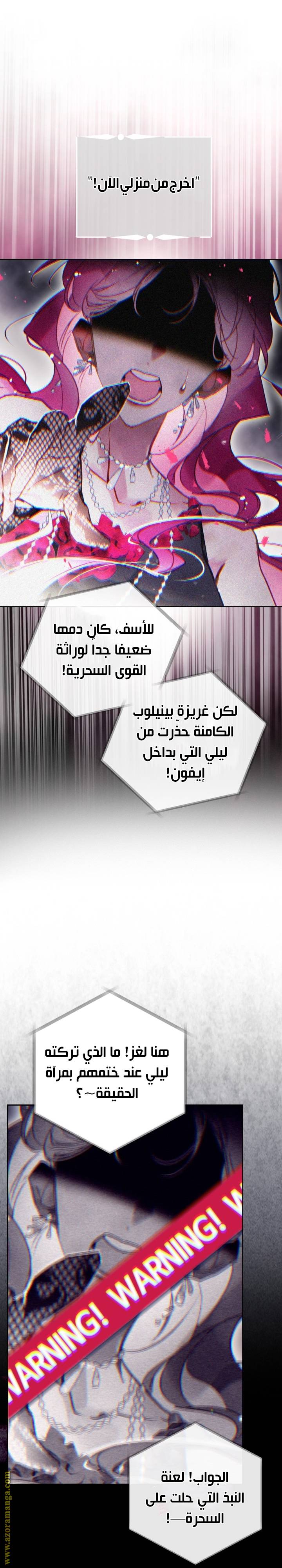 الصفحة 25