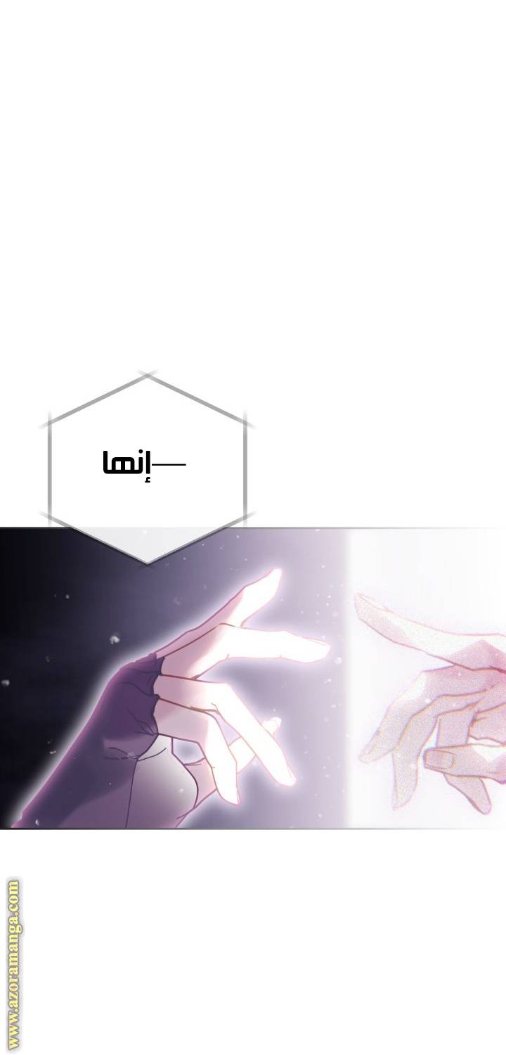 الصفحة 47