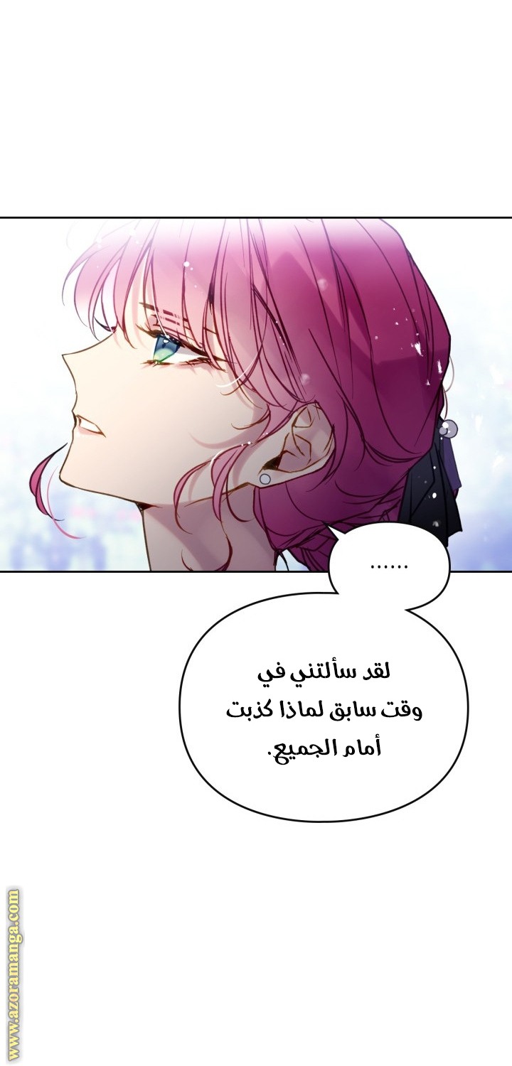 الصفحة 28