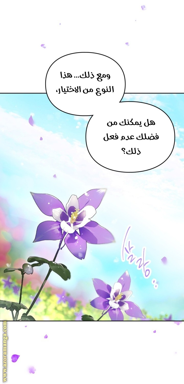 الصفحة 49