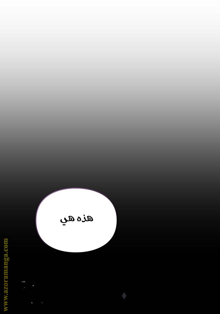 الصفحة 33