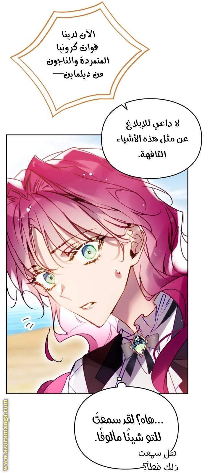 الصفحة 29