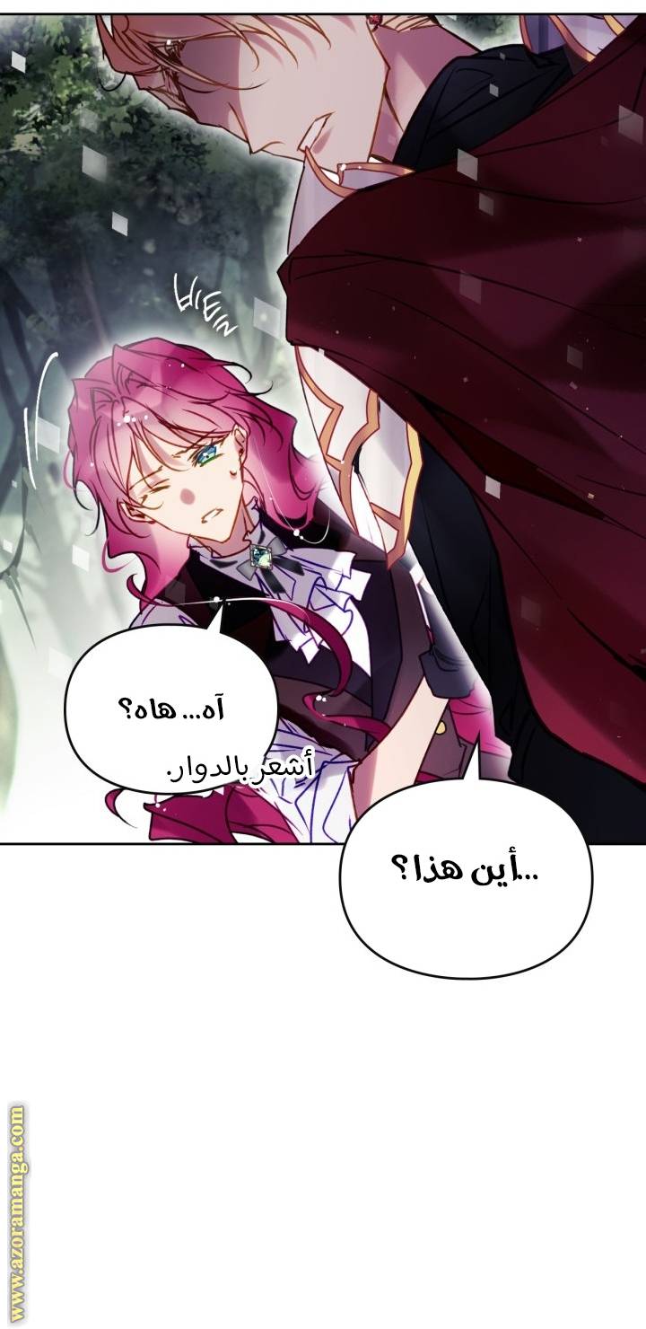 الصفحة 44