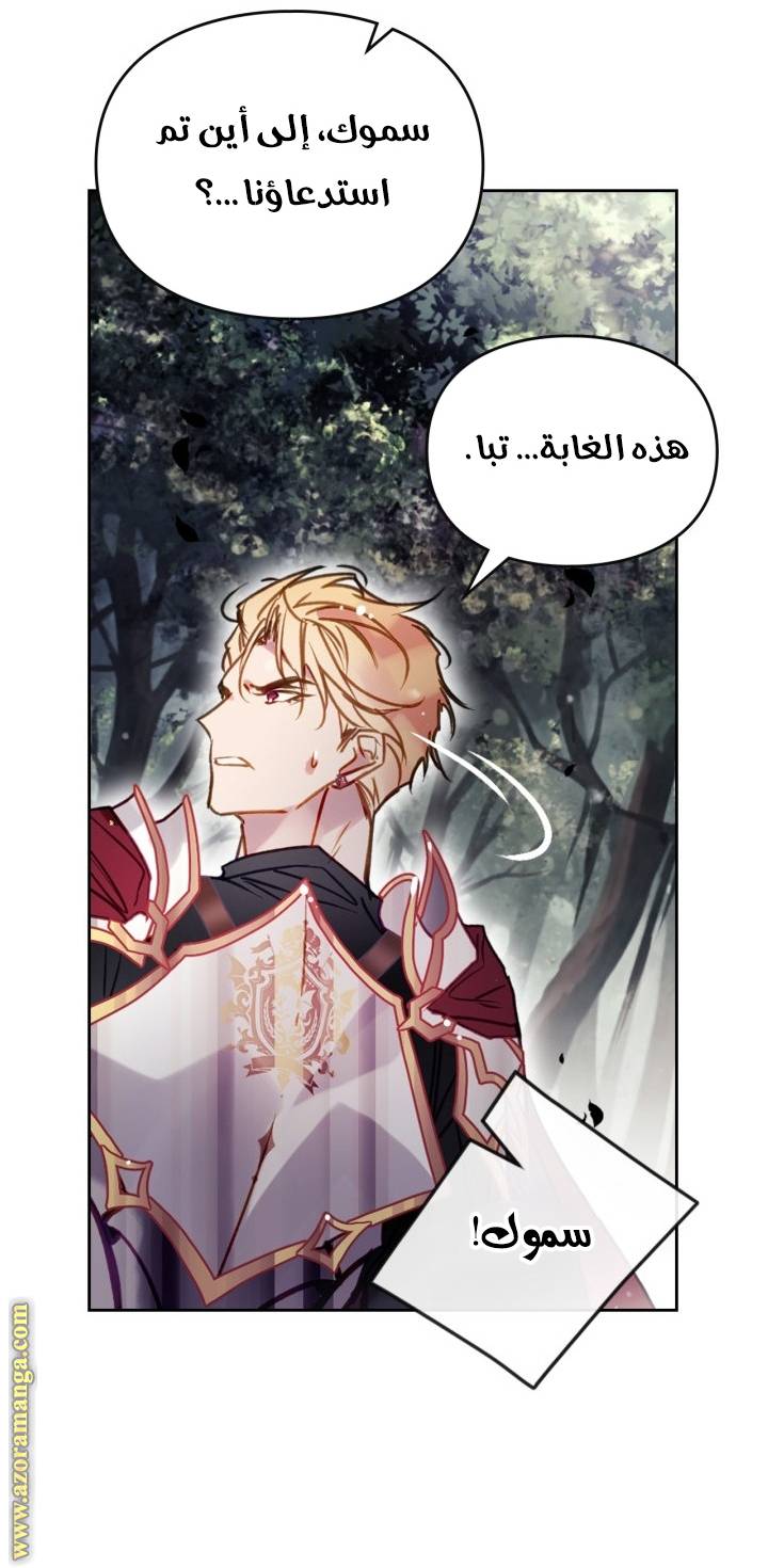 الصفحة 45