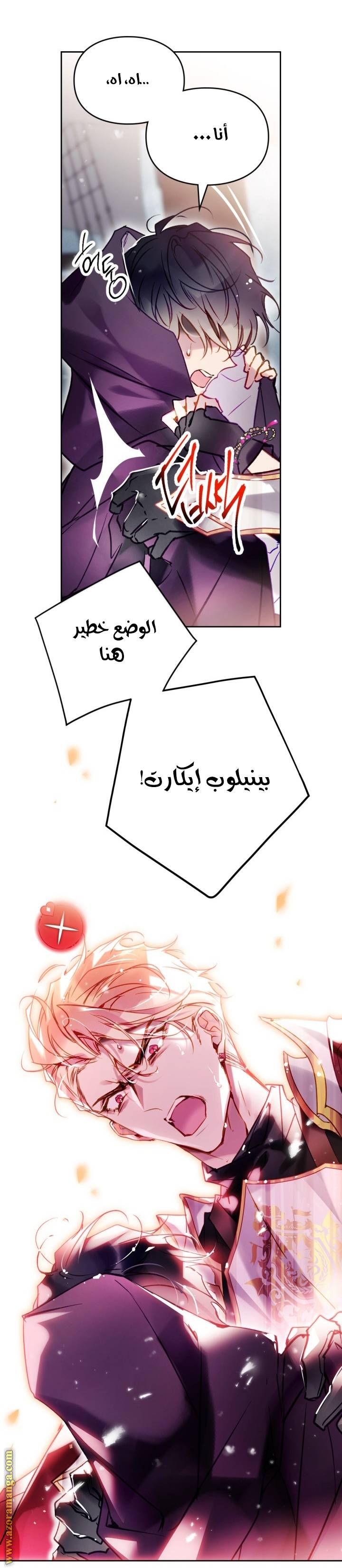 الصفحة 8