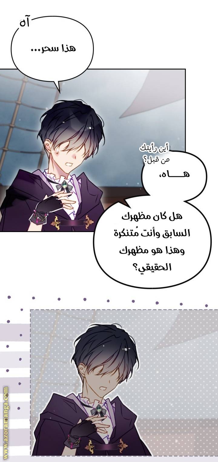 الصفحة 17