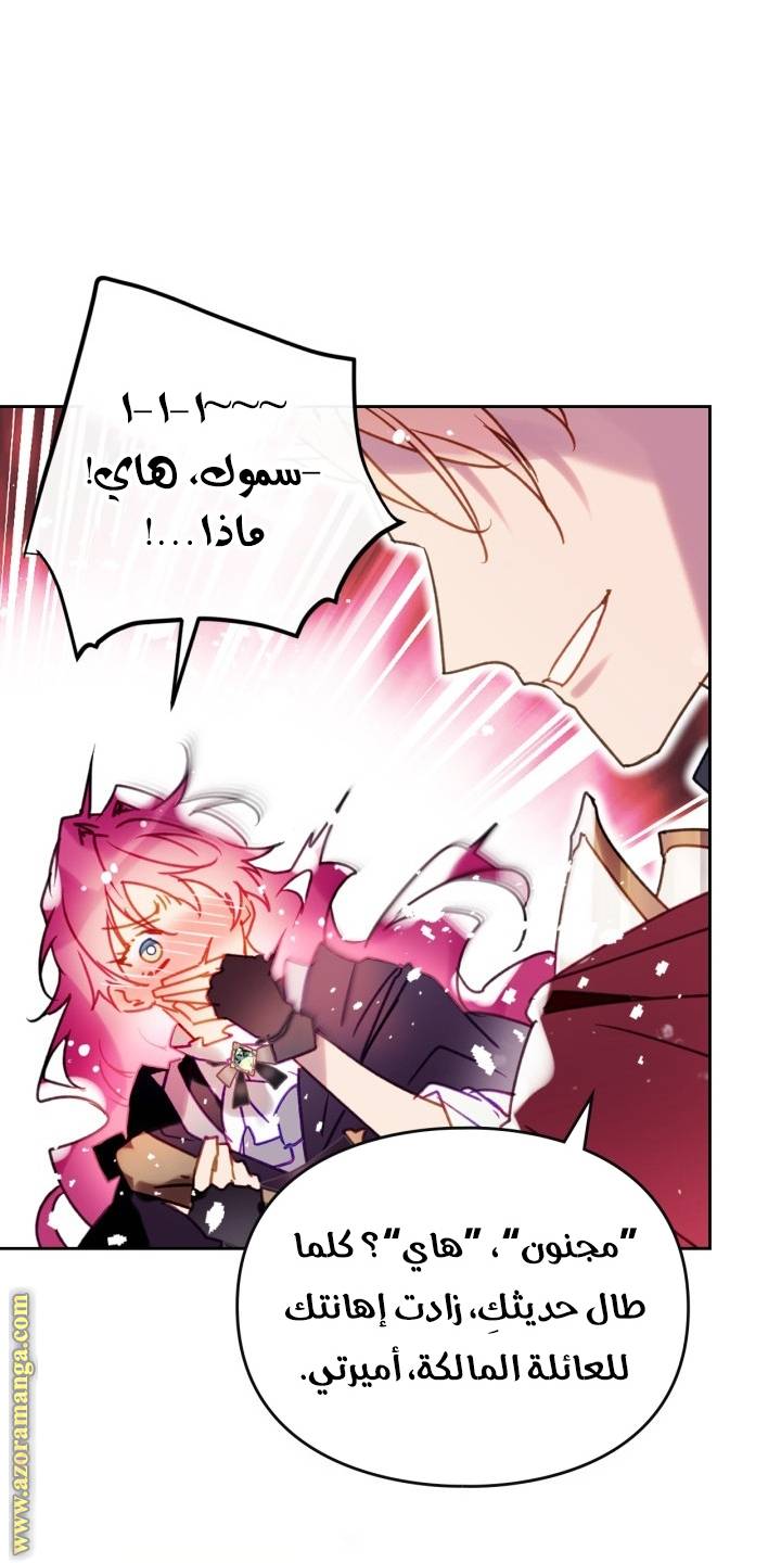 الصفحة 40