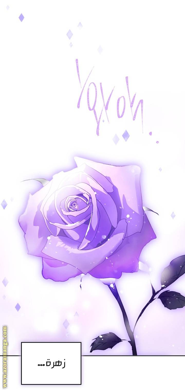 الصفحة 21