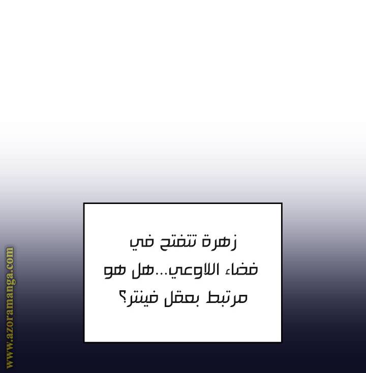 الصفحة 24