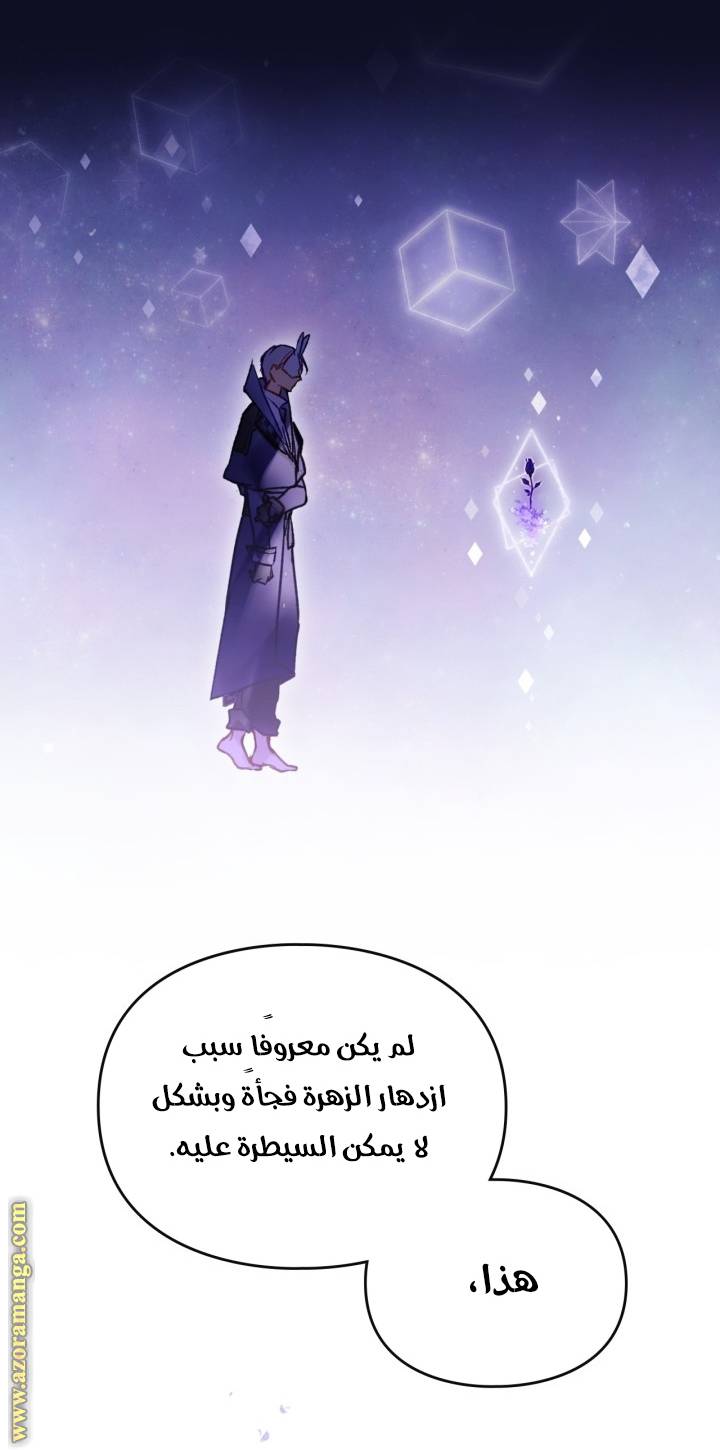 الصفحة 25