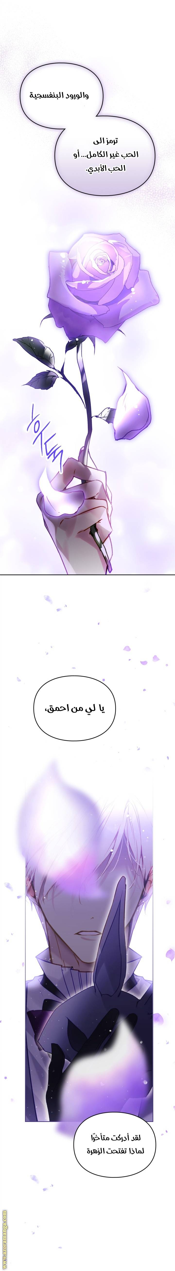 الصفحة 31