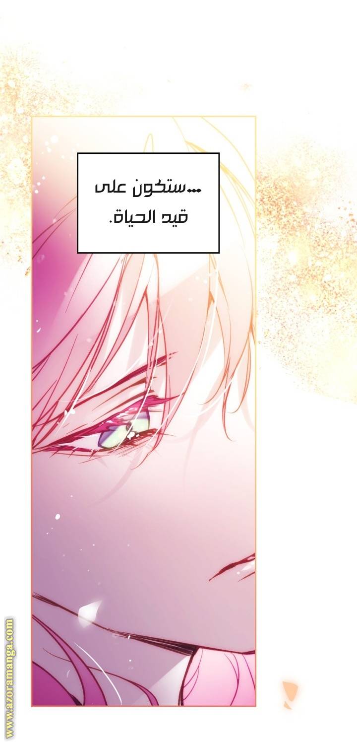 الصفحة 42