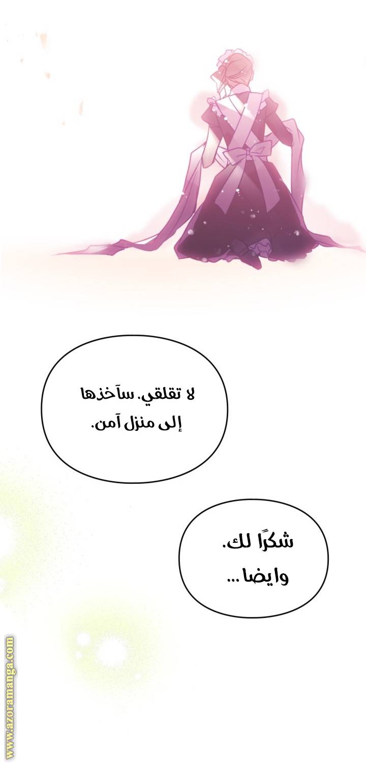 الصفحة 46