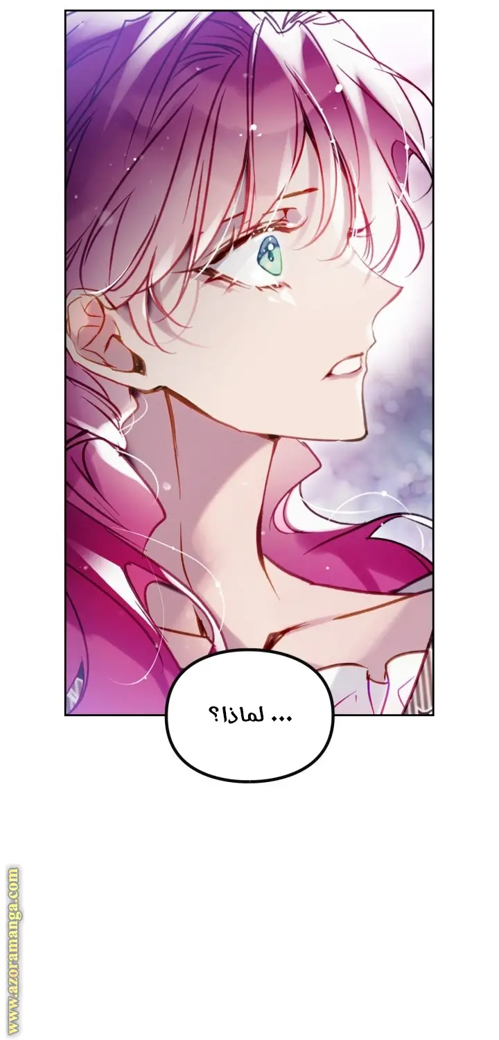 الصفحة 20