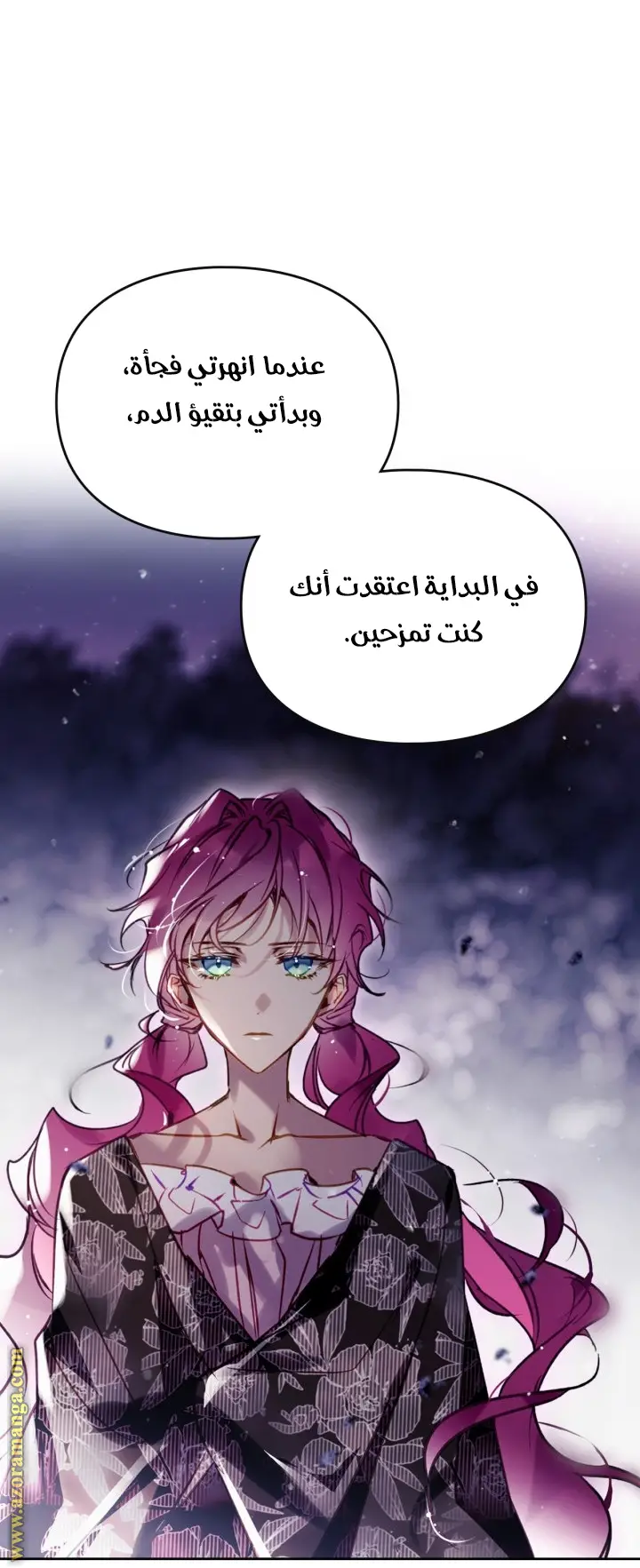 الصفحة 28