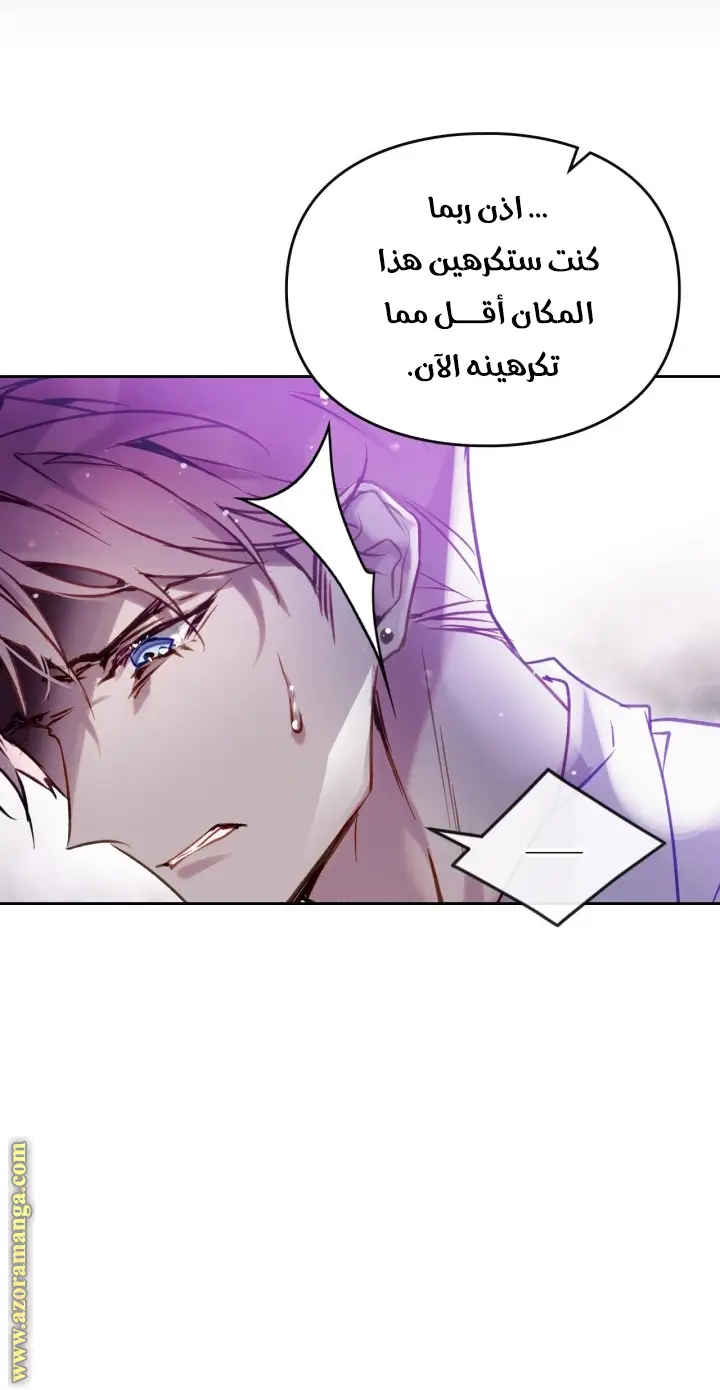 الصفحة 41