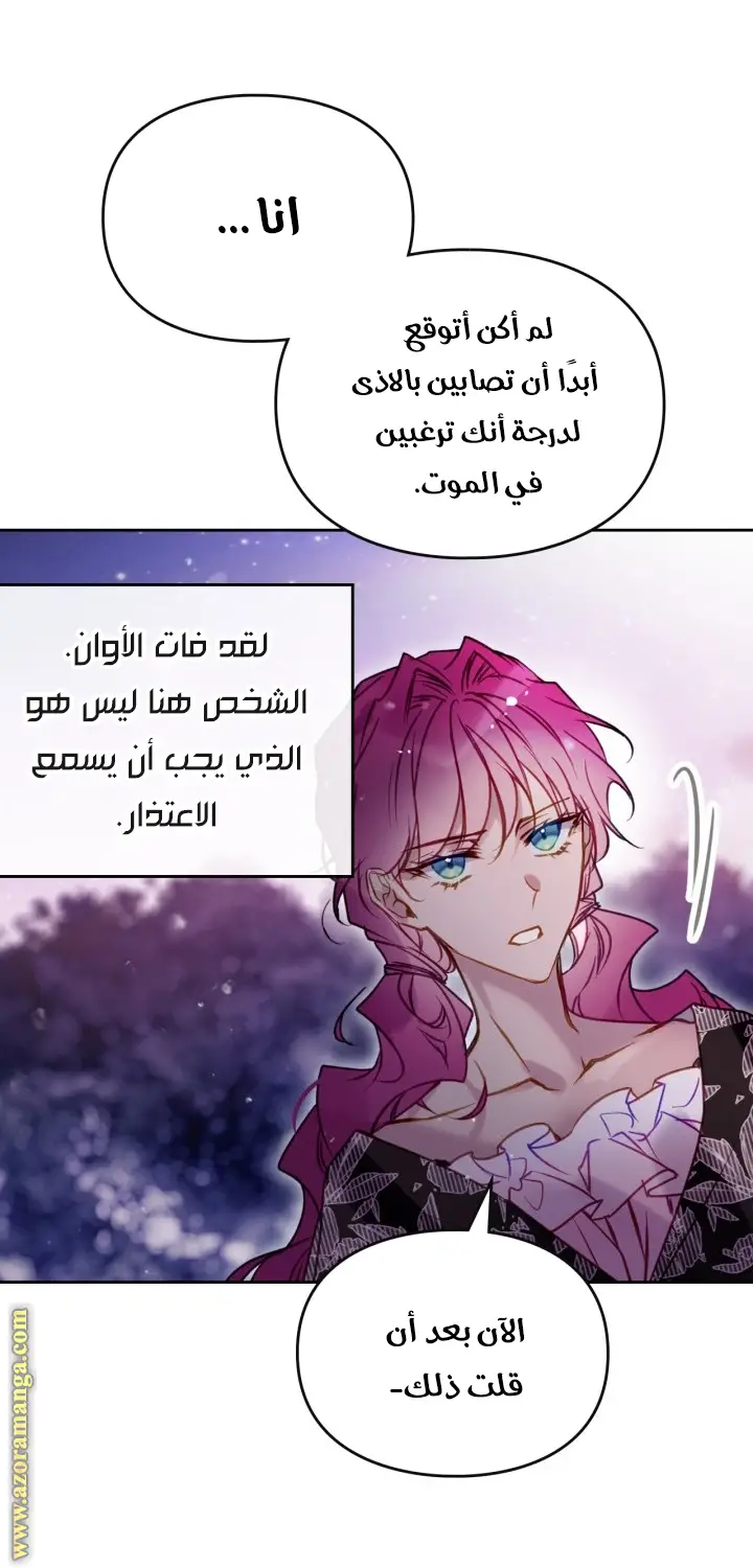 الصفحة 43