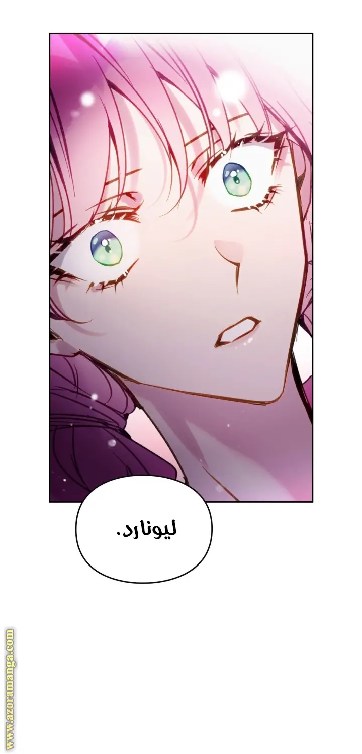 الصفحة 44