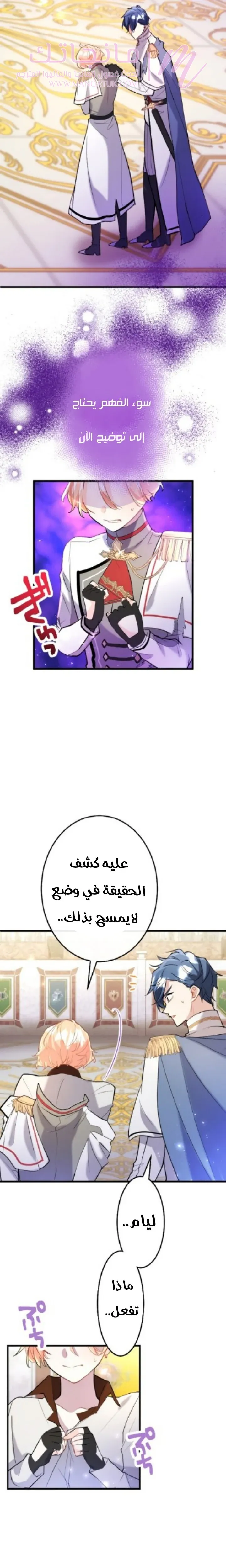 الصفحة 20