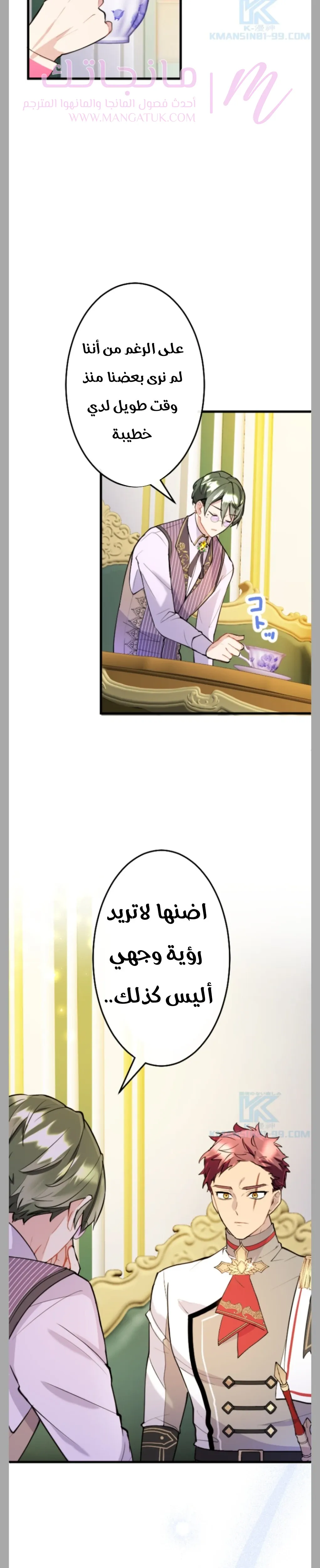 الصفحة 26