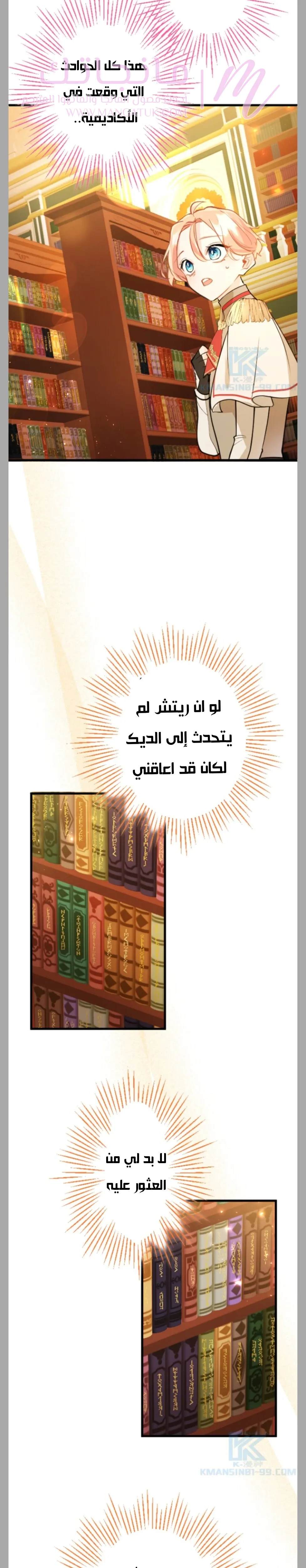 الصفحة 29